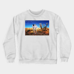 dai nippon research Crewneck Sweatshirt